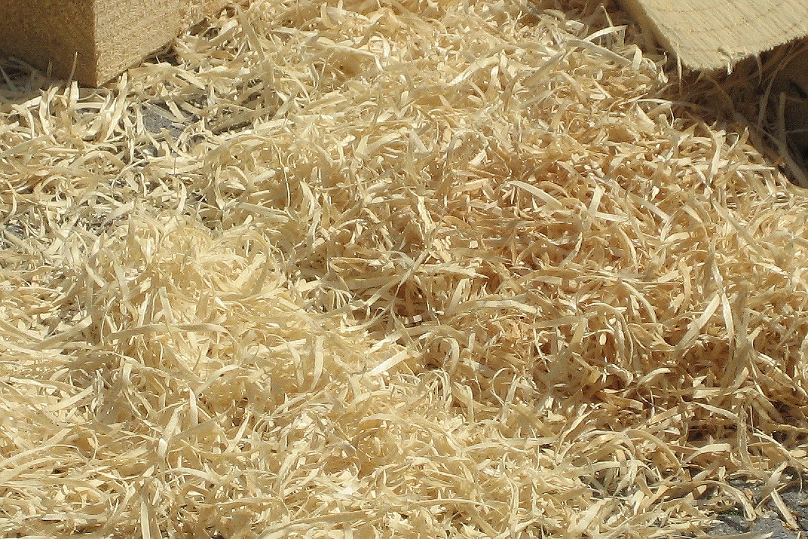 Anzünder aus Holzwolle