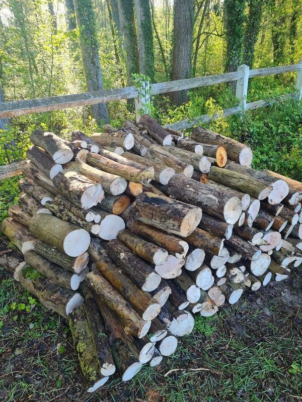 Brennholzstapel im Wald